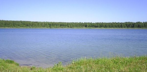 Озеро Данилово Кыштовский район