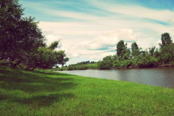 Село Окунево Омской области пять озер