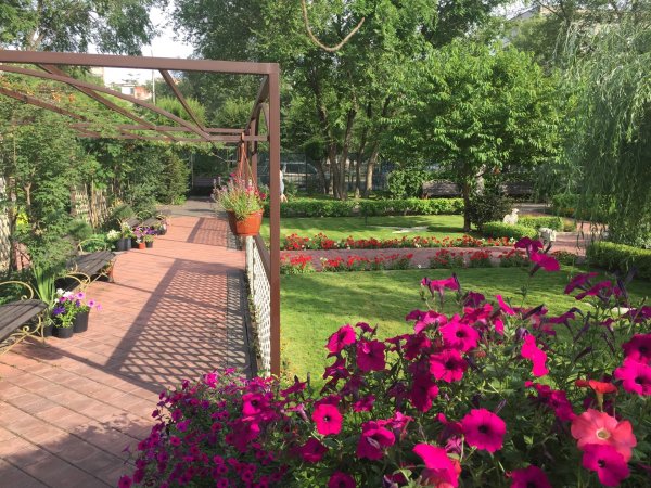 Парк сады мечты Абакан