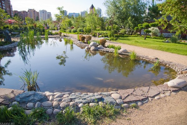 Парк сады мечты