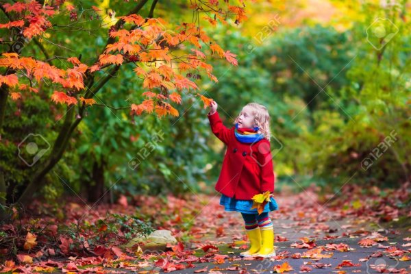 Осень для детей