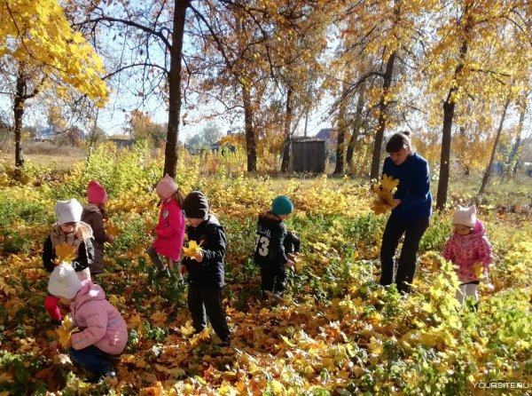Экскурсия в осенний парк