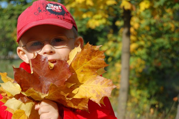 Мальчик с листьями