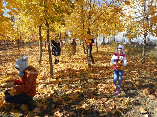 Осенняя прогулка