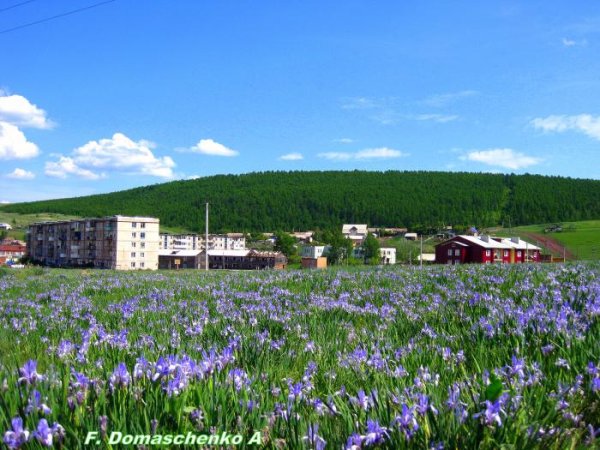 Посёлок озеро Учум