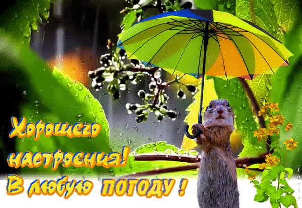 Хорошего настроения в любую погоду