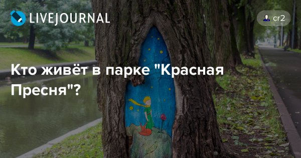 Жить в парке