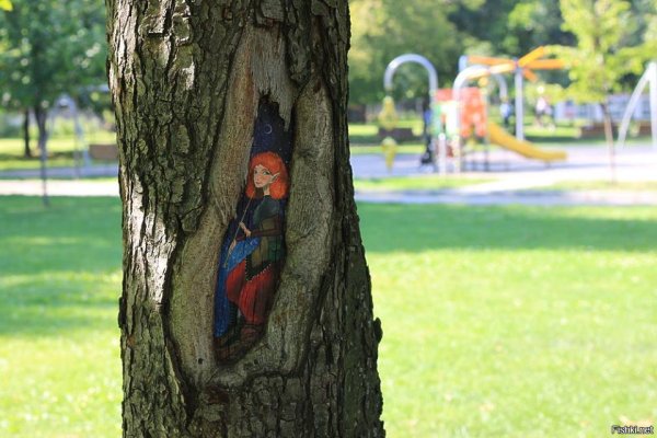 В парке красная Пресня деревья