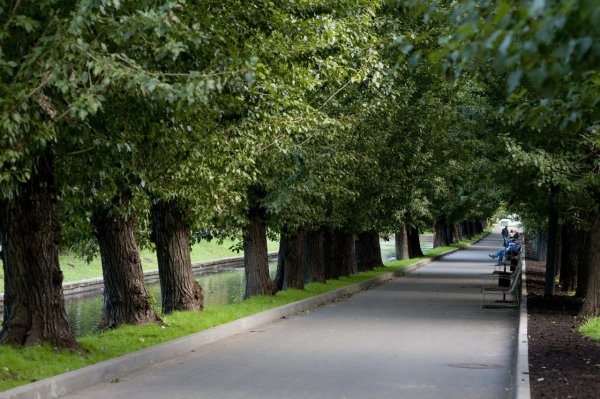 Парк, Москва, Мантулинская улица