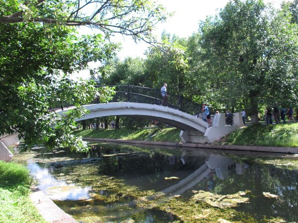 В парке красная Пресня деревья