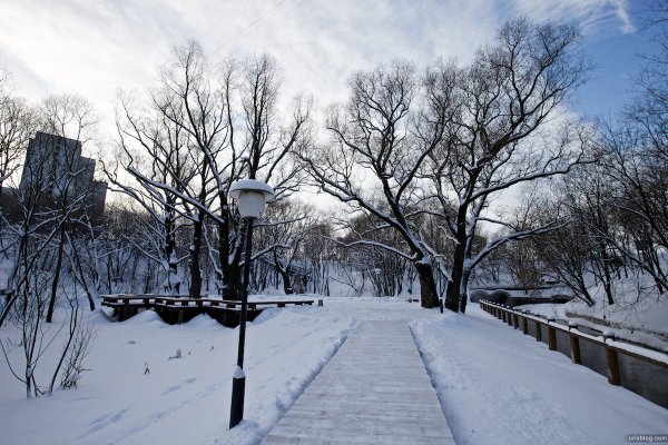 Парк Отрадное зимой