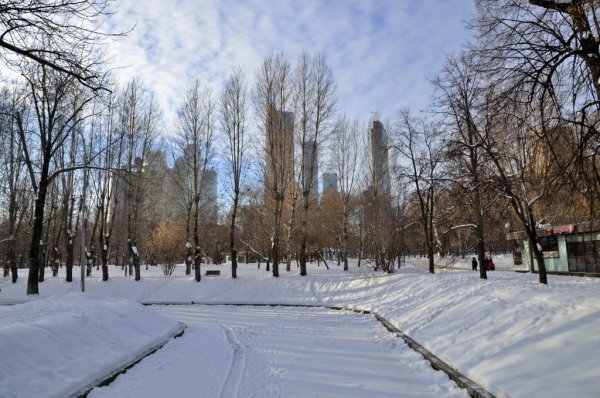 Парк красная Пресня Москва зимой