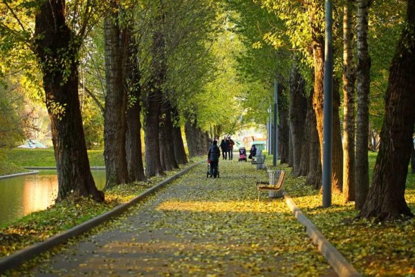 Краснопресненский парк Москва