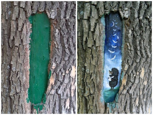 Картина стволы деревьев