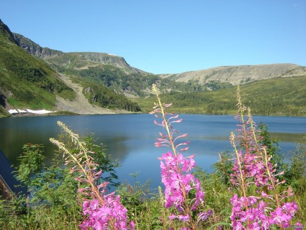Заповедник Кузнецкий Алатау озеро среднесетинское