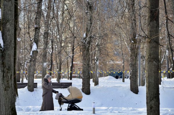 Парк красная Пресня зимой