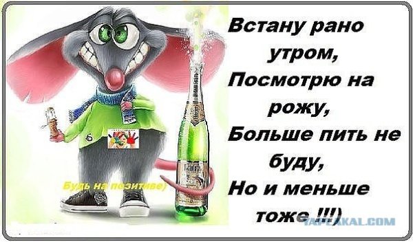 Открытка много не пей