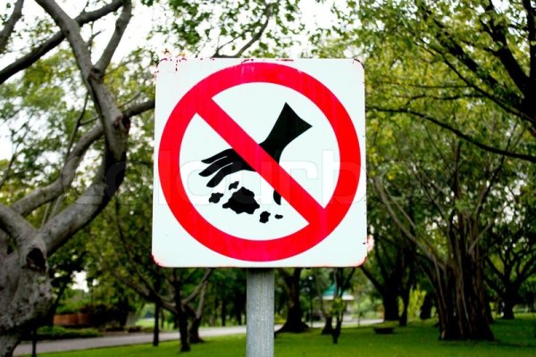 Предупреждающие знаки в парке