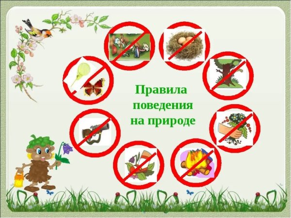 Правила поведения на приро
