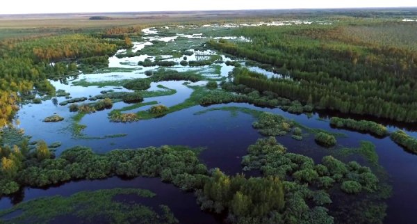 Кондинские озера Югорск