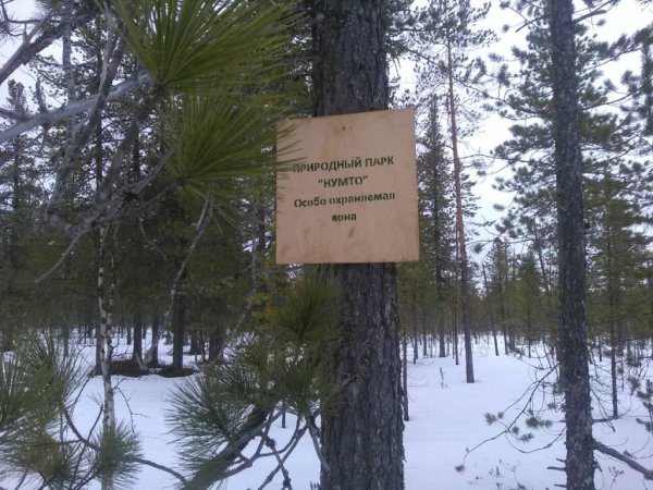 Парк Нумто Белоярский