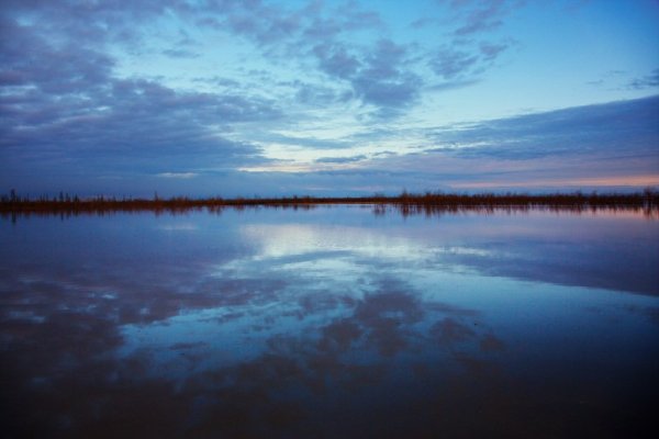 Природа озеро Пясино