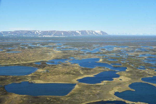 Озеро Пясино Норильск