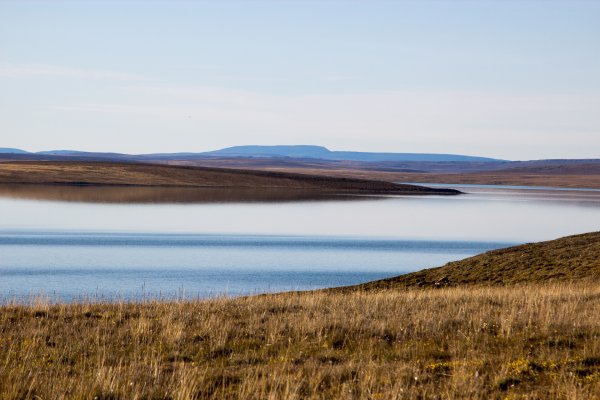Озеро Пясино Норильск