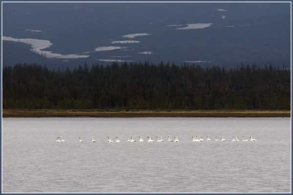 Река Пясина Норильск