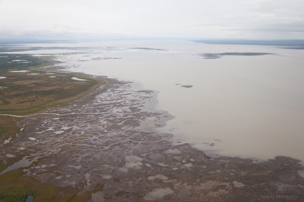 Озеро Пясино Норильск