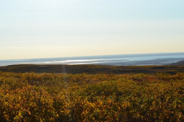 Пясинское озеро