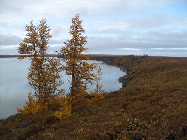 Река Норильская Таймыр