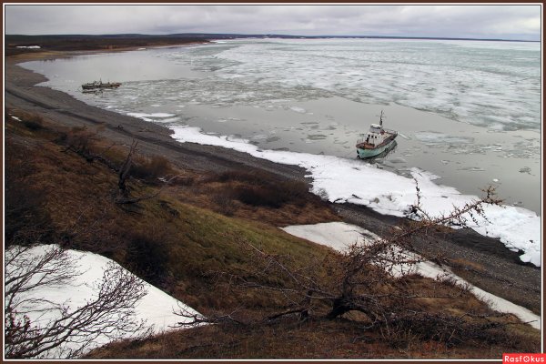 Пясино Таймыр