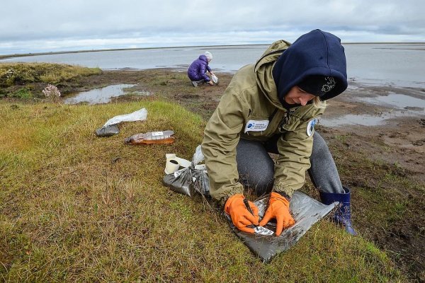 Экспедиция Таймыр