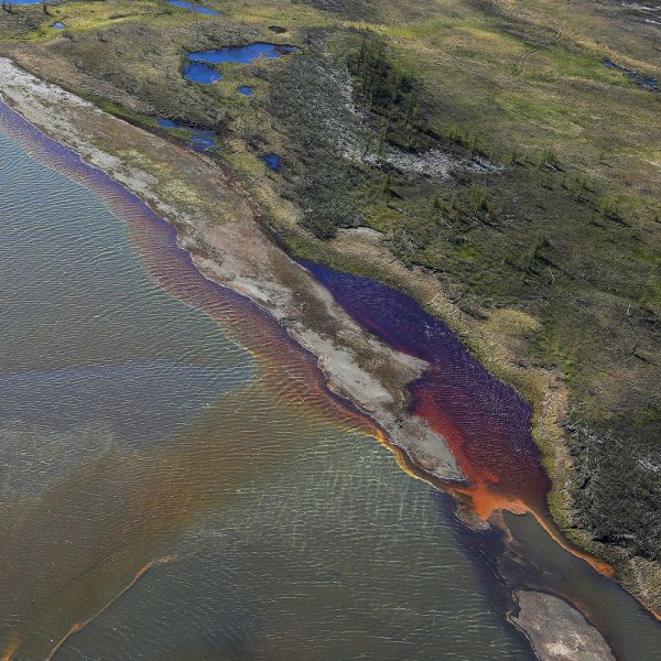 Озеро Пясино экологическая катастрофа