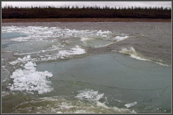 Озеро Пясино Норильск