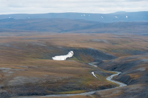 Река Тарея Таймыр