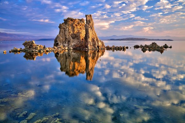 Фото картинка моно