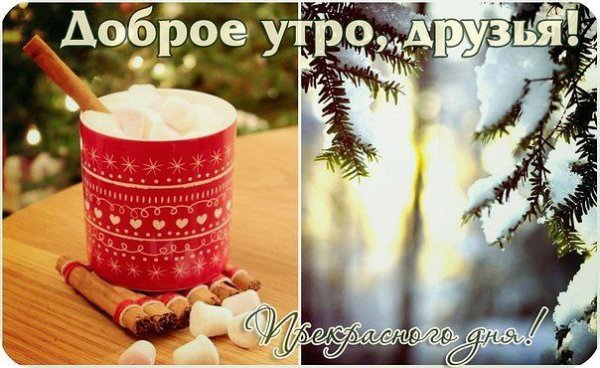 С добрым холодным утром