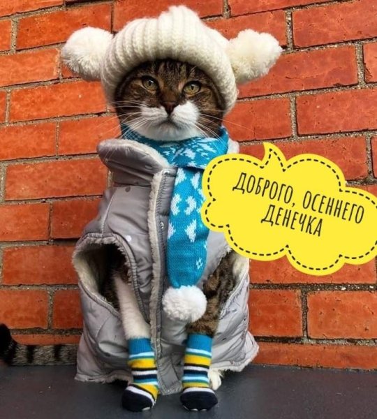 Одеваемся теплее