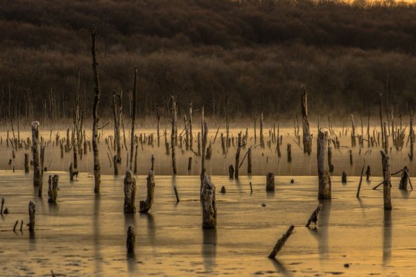 Озеро Тамбукан Пятигорск