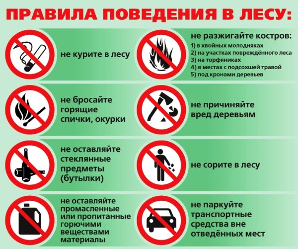 Как вести себя в лесу памятка для детей