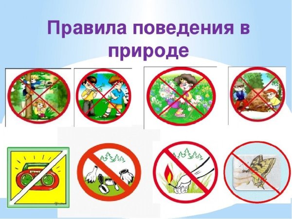 Правила поведения на природе