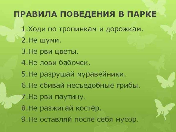 Правила поведения в парке