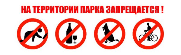 Правила поведения в парке