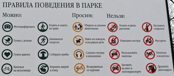 Правила поведения в парке