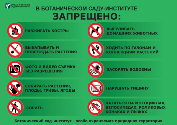 Правила поведения в парке