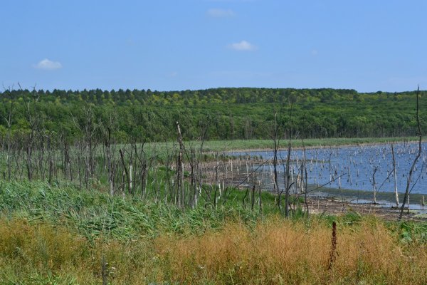 Черное озеро Ставропольский край