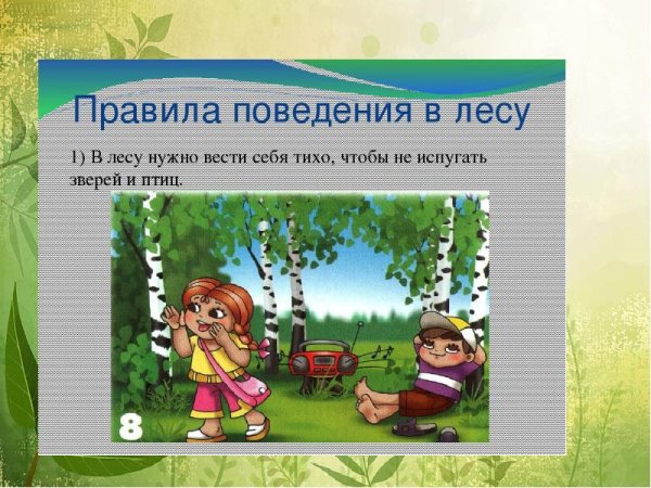 Правильное поведение в лесу