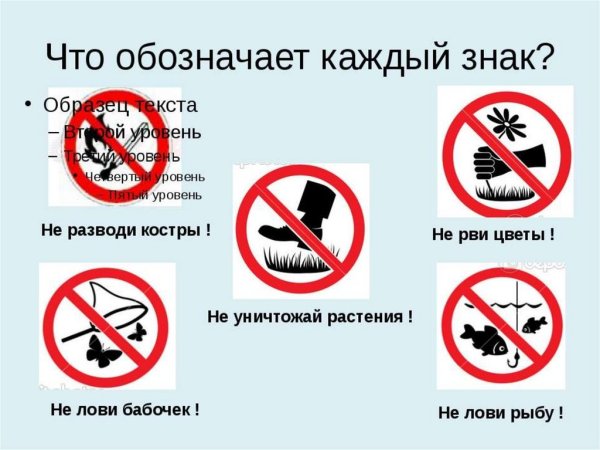 Запрещающие таблички на природе